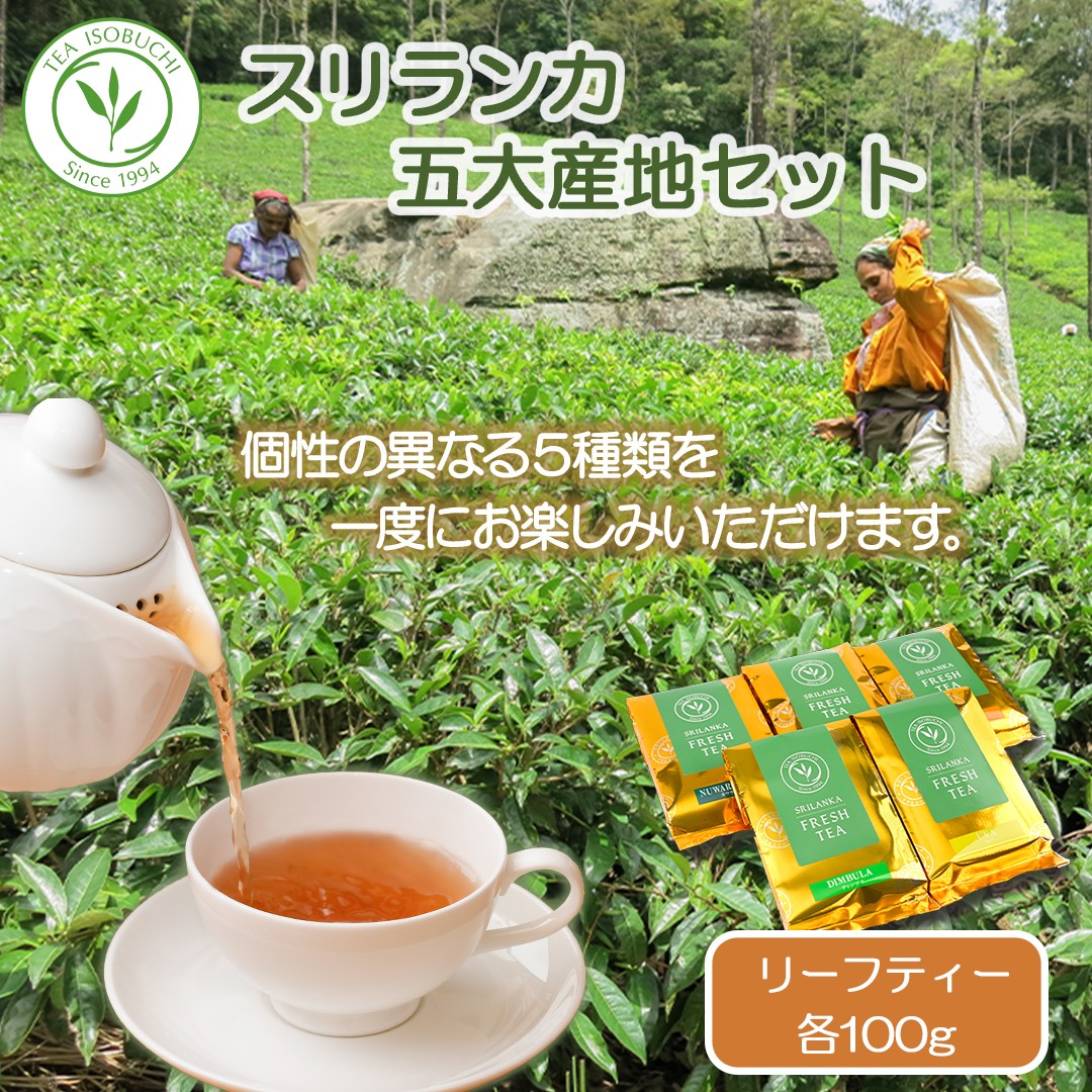 
            紅茶 茶葉 お茶 茶 紅茶セット ティー セット 100g × 5袋 ギフト プレゼント フレッシュティー スリランカ フレッシュ 新鮮 香り 風味 5大産地 紅茶専門店 イソブチカンパニー 神奈川 湘南 藤沢 贈り物 お土産 リーフティー ミルクティー ヌワラエリア ウバ ディンブラ キャンディ ルフナ
          