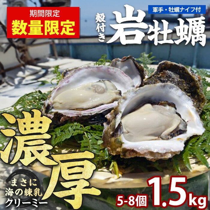 【ふるさと納税】夏に美味い岩がき 約1.5kg 錦盛丸水産 (計約1.5kg・5個×約300g) 鹿児島県産 国産 特産品 長島町産 カキ 牡蛎 殻付き 牡蠣 生牡蛎 生牡蠣 岩牡蛎 岩牡蠣 貝 貝類 魚介類 海産物 海の幸 軍手 カキナイフ付き 海鮮 牡蠣フライ【錦盛丸水産】kinsei-1298-01R7