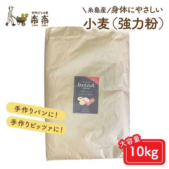 【 業務用 】 伊都のみのり (強力粉) 10kg 糸島市 / 天然パン工房楽楽 / いとしまごころ [AVC064] 小麦粉 国産 パン ロール製粉 小麦