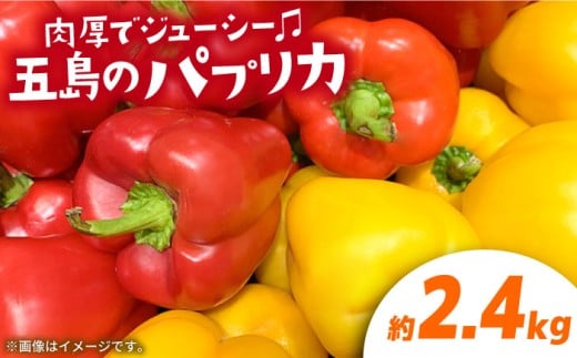 【肉厚パプリカ】五島のパプリカ約2.4kg 五島市/HPIファーム [PCP009] 野菜 やさい 国産 新鮮 緑黄色野菜 産地直送 とれたて