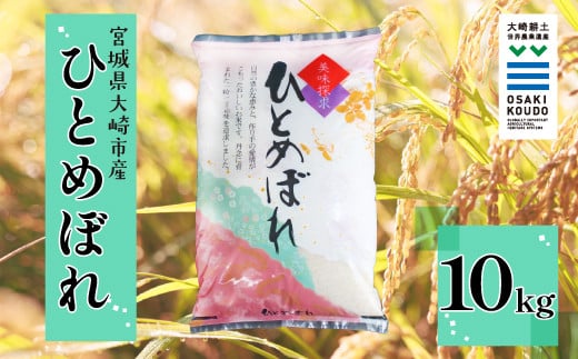 
            《精米》宮城県大崎市産 有機肥料低農薬栽培米 ひとめぼれ10kg【2024年産】｜バランスの良い万能米・送料無料【1袋】
          