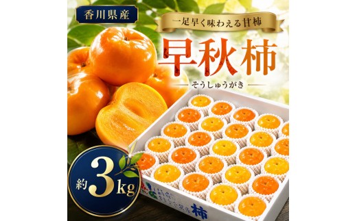 
                  一足早く味わえる甘柿　早秋柿（そうしゅうがき） 果物類 
                