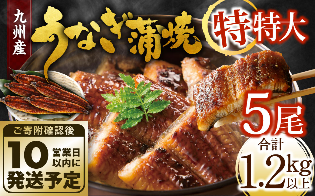 【年内配送】九州産 うなぎ蒲焼 特特大5尾 (1尾あたり250～266g) 合計：1.2kg以上