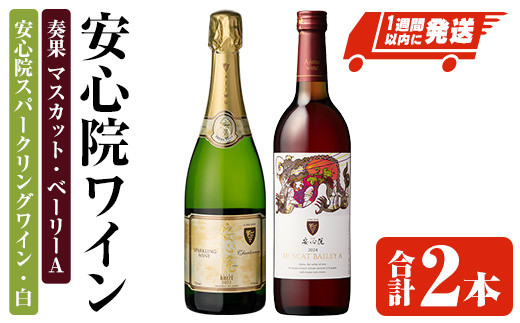 安心院スパークリングワイン・白/奏果マスカット・ベーリーA (合計1.47L・2本) 酒 お酒 ワイン ぶどう 葡萄 飲み比べ セット【107306200】【時枝酒店】