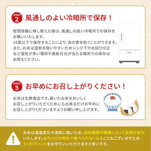 お米 ミルキークイーン 5kg 令和6年産 近江米 お米