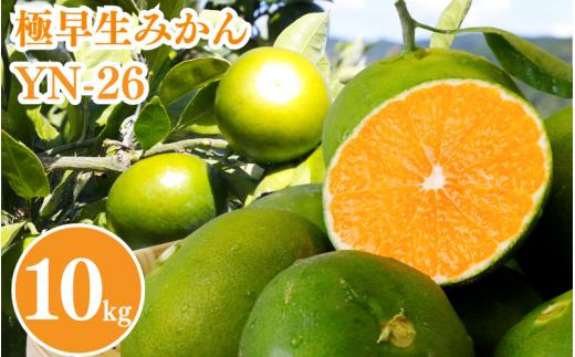 【2025年分先行予約】極早生みかん YN-26（紀のゆらら）10kg【9月上中旬以降順次発送予定】 / 和歌山県 田辺市 みかん 早生みかん 柑橘 果物【mrn005-2】