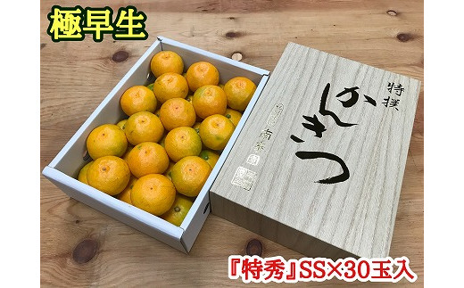 
極早生 みかん 有田 化粧箱 小箱 特秀 小玉 SS サイズ 30玉入 南泰園
