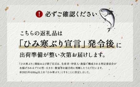 ＜先行予約＞ 【魚問屋直送】天然「生ひみ寒ぶり」刺身用 約800g〈アラ付き〉