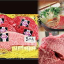 【ふるさと納税】長崎和牛 出島ばらいろ 3回定期便 《レギュラータイプF》