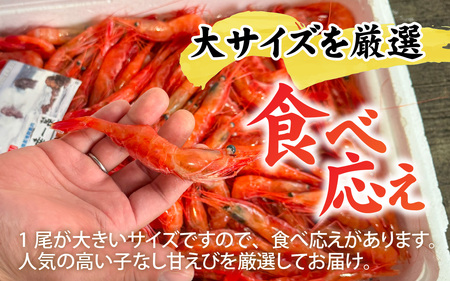 甘えび (大サイズ) 約700g 天然・鮮度抜群！【発泡箱】 船内冷凍 32尾 / 甘エビ 海老 えび エビ 冷凍 アマエビ あまえび 甘海老 刺身 産地直送 国産 人気 魚介 海の幸 海鮮