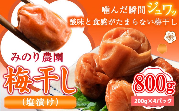 
                  うめぼし 800g（塩）《30日以内に出荷予定(土日祝除く)》熊本県 葦北郡 津奈木町 梅 梅干し 天日干し みのり農園 
                