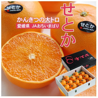 
            ＜先行受付＞せとか　化粧箱　3L～Lサイズ　10～15玉　愛媛県　JAおちいまばり【1439147】
          