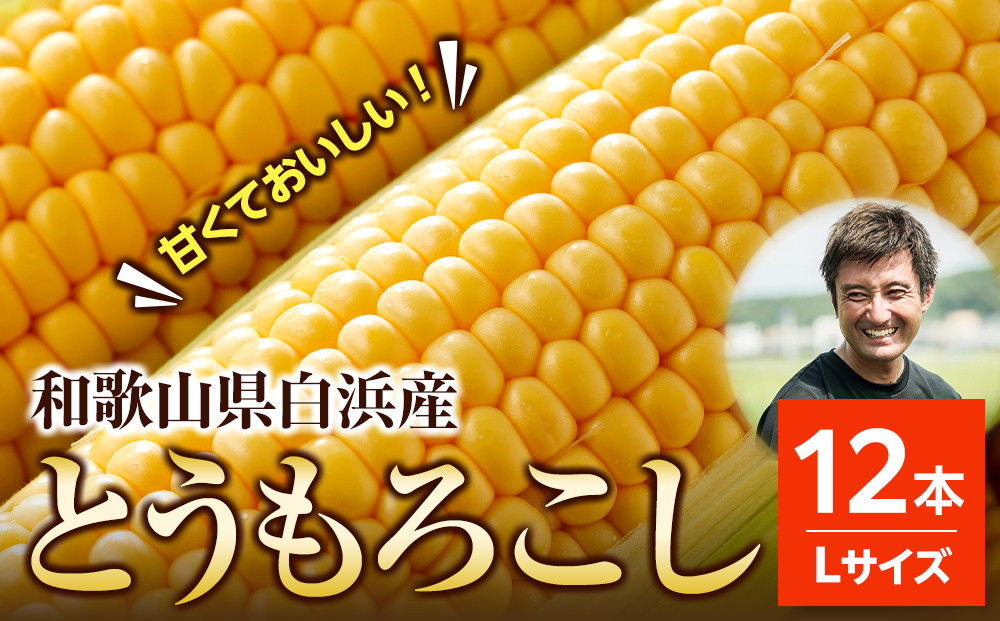 ［先行予約］しらはま農家 とうもろこし Lサイズ 12本 ［2026年6月発送予定］ 304018_DK05