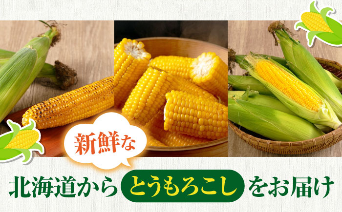  トウモロコシ コーン 先行予約 季節の野菜 夏野菜 北海道 