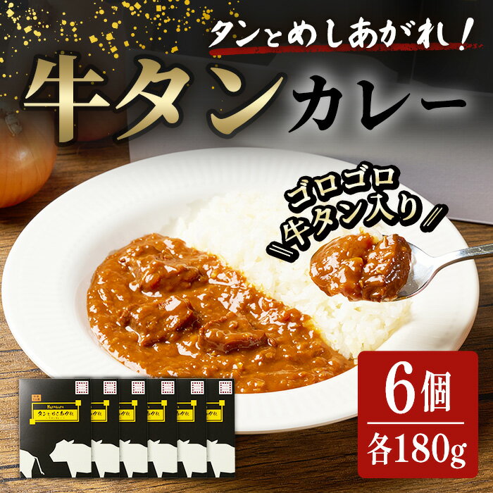【ふるさと納税】 牛タンカレー「タンとめしあがれ」6個セット 牛タン 牛たん 牛肉入り レトルトカレー レトルト カレー カレーライス ビーフカレー ごはん ご飯 お弁当【はらから福祉会】sh093