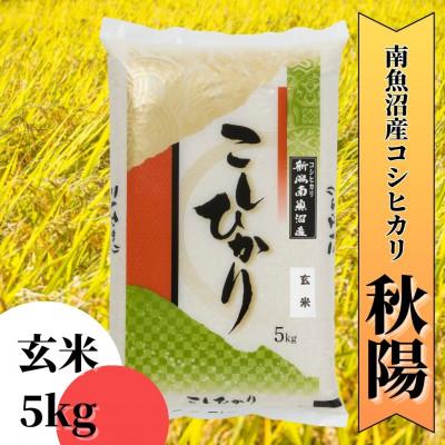 ふるさと納税 南魚沼市 【令和8年産 新米予約】南魚沼産コシヒカリ「秋陽」(玄米5kg)新潟の特A地区南魚沼市の美味しいお米