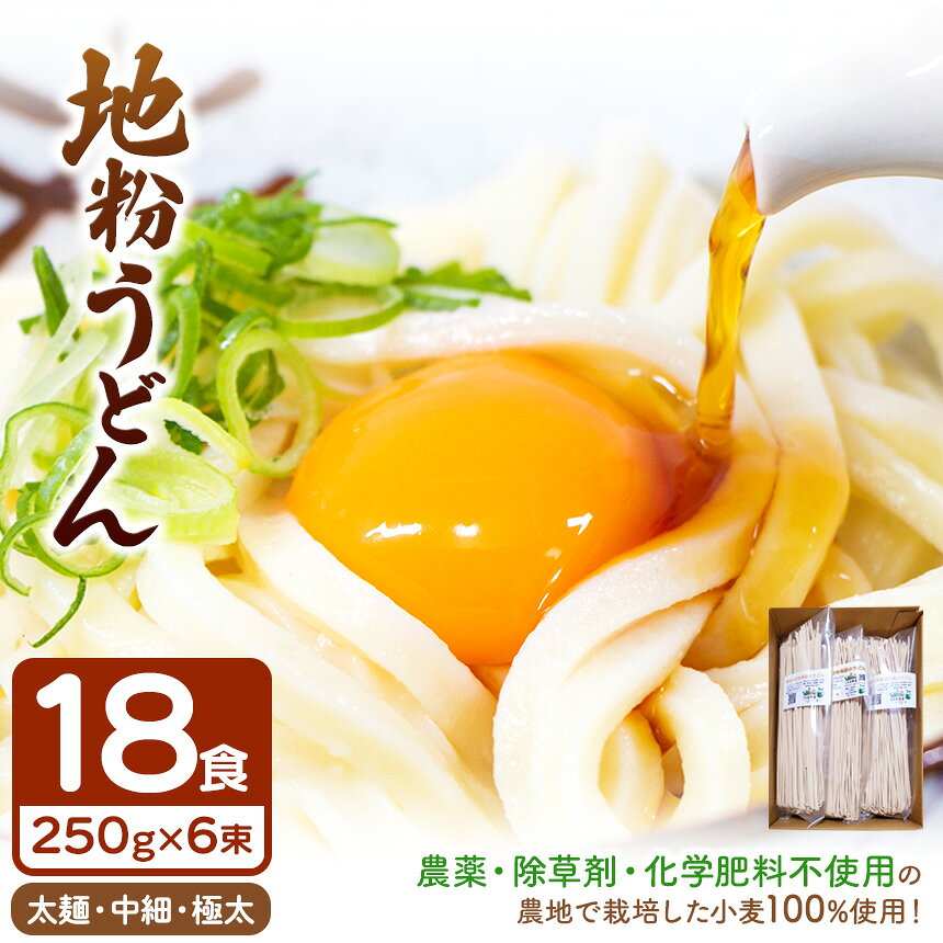 【ふるさと納税】地粉うどんセット（農薬・除草剤・化学肥料不使用で育てた 小麦 100％ 18食分）｜栽培 地粉 うどん オーガニック 太麺 中細 極細 パスタ 干しうどん250g6束セット 国産 真岡市 栃木県 送料無料