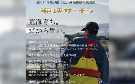 海峡サーモン [添加物不使用]ほぐし身茶漬け(だし入り)8個セット