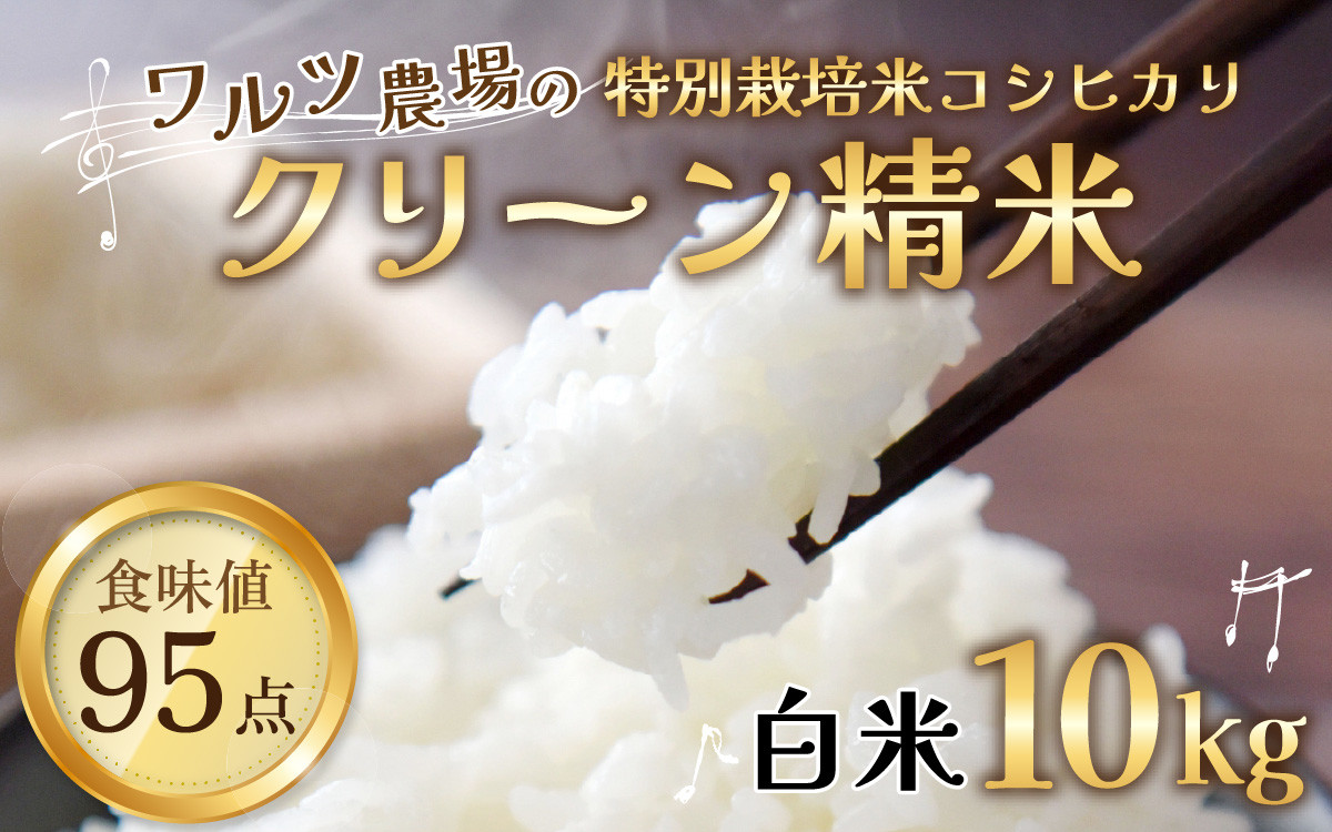 
            【先行予約】【令和7年産 新米】ワルツ農場のコシヒカリ クリーン精米 10kg（5kg×2袋） 特別栽培米【驚きの食味値95点！納得の美味しさ】減農薬 有機肥料使用 / お米 ご飯 白米 発送直前 精米 つや 艶 甘味 旨み 北陸 あわら市産 福井県産 ブランド米  ※2025年9月下旬より順次発送
          