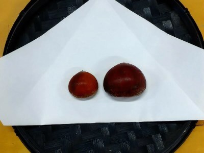 【ふるさと納税】期間限定 数量限定 先行予約 さぬき山都の低温熟成完熟栗 (生栗) 4Lサイズ以上 約2kg 秋の味覚 さぬき 山都 低温熟成 完熟 栗 完熟栗 大粒 栽培 厳選 糖度 選別 三豊市産