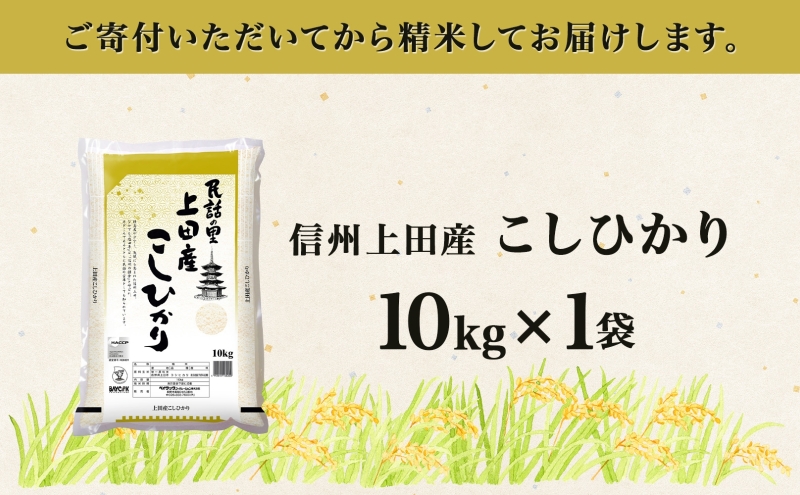 令和7年産 長野県 信州 上田市産 こしひかり 10kg×1袋 計10kg 精米 白米 ブランド米  銘柄米 コシヒカリ ご飯 ライス お弁当 おにぎり 主食 国産 日本産 和食 お取り寄せ