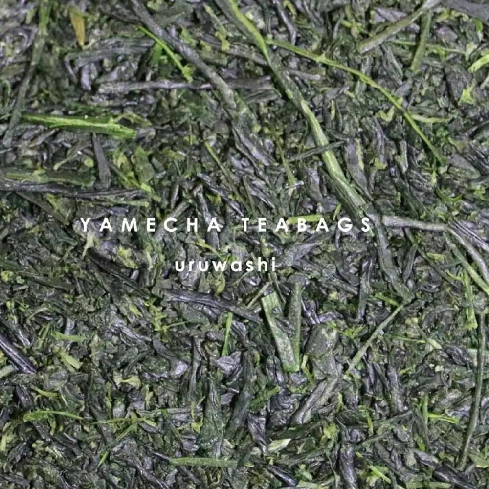 原田茶園 極上煎茶ティーバッグ 麗至 2袋(56g/14包)【八女茶】