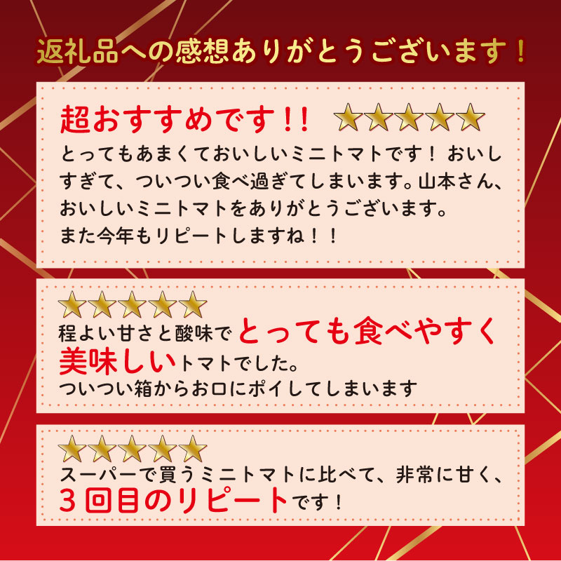 【先行予約】ミニ トマト フルーツ トマト ラブリーさくらとまと トマト みにとまと  甘み 夏 新鮮 野菜 完熟 サラダ パスタ トマトソース トマトスープ トマトジュース おやつ  贈答 プレゼン
