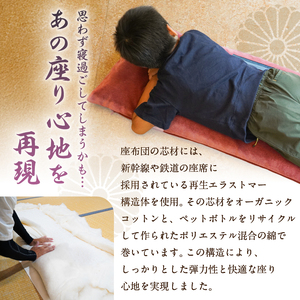 おうちでゆるっとメトロ（120×45cm・東西線：えんじ色）【kt031-010-2】