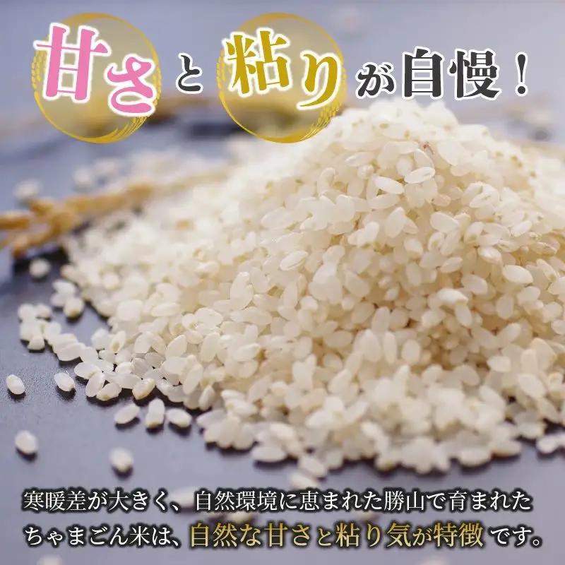 米 コシヒカリ 勝山産 ちゃまごん米 10kg×3回  定期便 [I-010022]