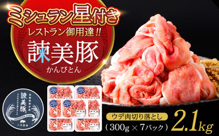 諫美豚 ウデ肉 切り落とし 2.1g（300g×7P）/ 豚肉 ぶたにく ウデ うで ウデ肉 うで肉 切り落とし 切り落し 切りおとし 小分け / 諫早市 / 株式会社土井農場[AHAD083]