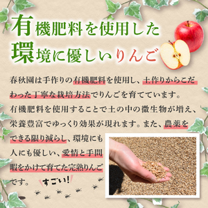 【2025年9月上旬発送】りんご　サンつがる 約5kg 高級品 春秋園 青森【贈答用 リンゴ 林檎 サンツガル 早生りんご】
