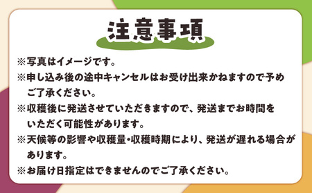 【 2026年 先行予約 】【 ご家庭用 】 山下農園 の パッションフルーツ 2kg 【 6月上旬 ～ 7月上旬 発送 】 W063-001 果物