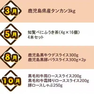 ふるさと納税 _南九州市 【発送月固定定期便】南九州トクトク定期便ライト全4回 |  | 02