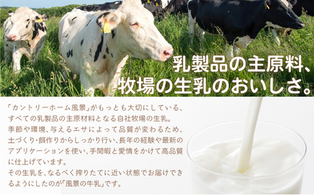 【定期12ヶ月】風景の牛乳 900ml ×6 SKB070