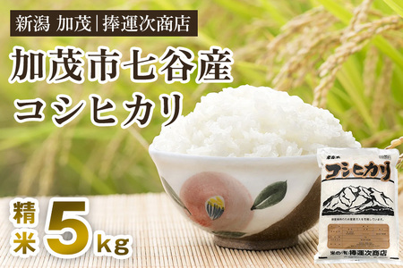 【令和6年産新米】新潟県加茂市七谷産コシヒカリ 精米5kg 白米 捧運次商店 コシヒカリ 新潟県産コシヒカリ 米 お米コシヒカリ コシヒカリ コシヒカリ コシヒカリ コシヒカリ