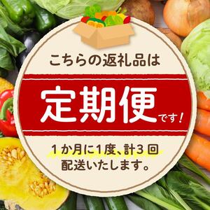 【 全3回定期便 】 野菜 詰め合わせ 産地 直送 10～14種 減農薬 栽培 旬 採れたて やさい 家庭用 健康 食材 静岡県 藤枝市 