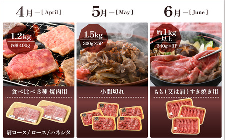 定期便 ≪12ヶ月連続お届け≫ 肉の定期便 肉好き満足！和牛 若狭牛ボリューム満点 厳選プレミアム 食べ比べ計14.6kg以上【 国産牛 ロース すき焼き しゃぶしゃぶ ハンバーグ サーロイン 焼肉 