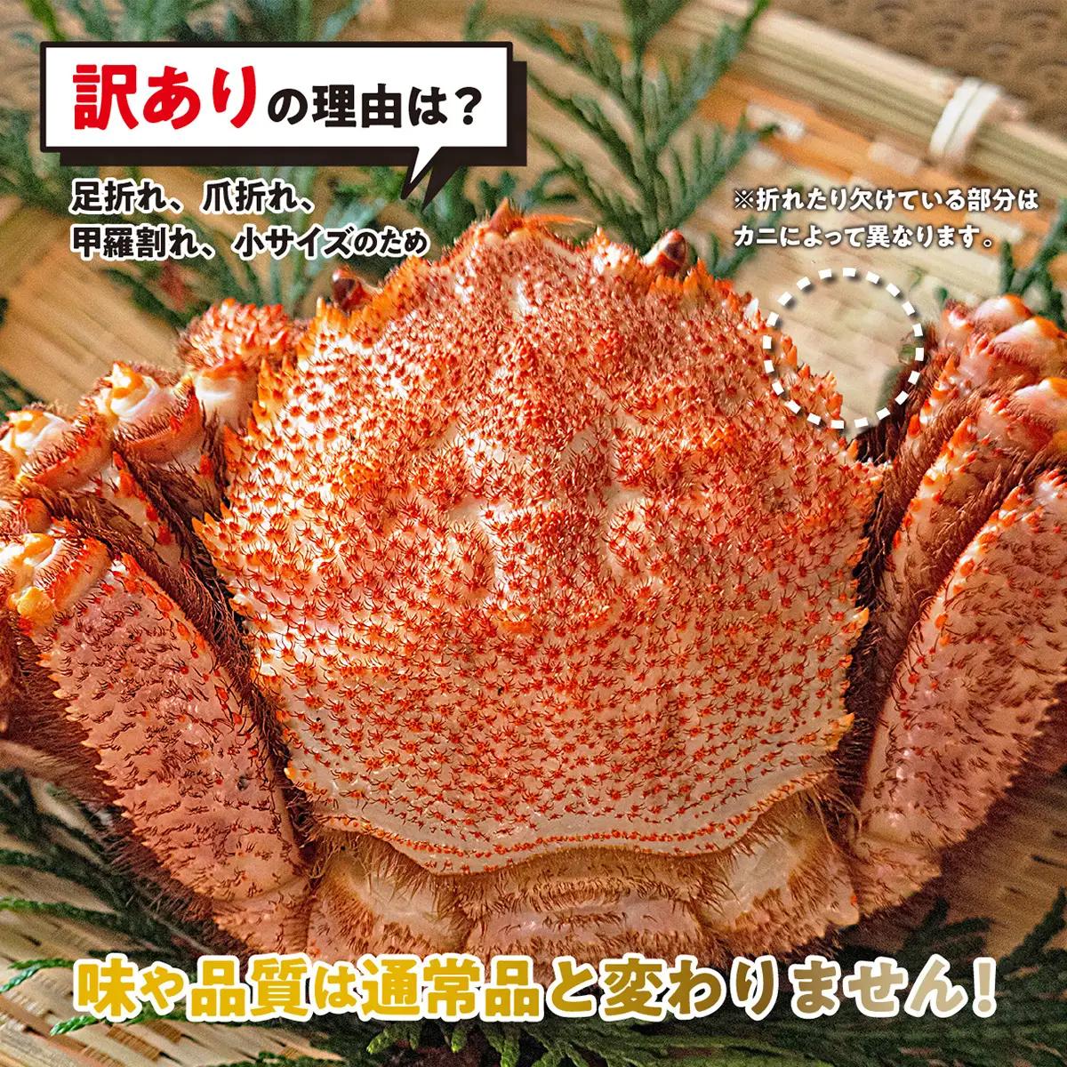 訳あり 北海道産 毛ガニ ＜ 冷凍 ＞ ボイル 約 1kg （ 2～4尾 ） 毛蟹 毛がに かに カニ 蟹 かに味噌 カニ味噌 海鮮 海産物 わけあり 訳アリ 