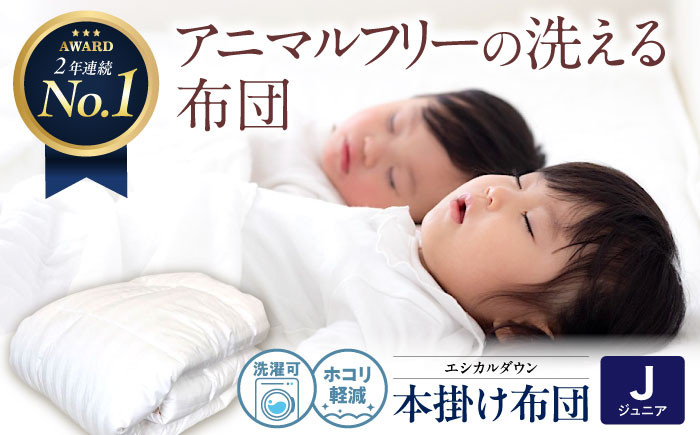 
            洗える 人工羽毛布団 掛け布団 〈ジュニア〉人工羽毛 エントリーモデル  広島県福山市/イシケン株式会社 2枚組 羽毛布団 羽毛ふとん 肌掛け 日本製 オールシーズン 掛布団 寝具 アレルギー対策 [BAAK029]
          