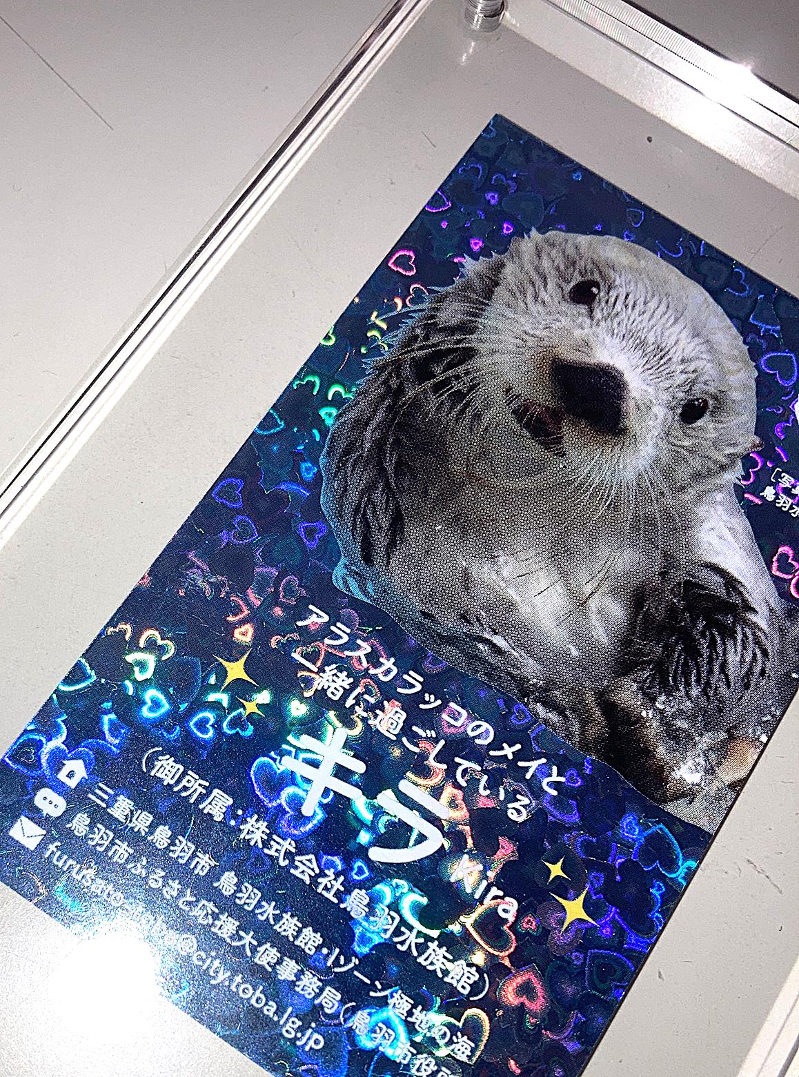 ※画像はイメージです