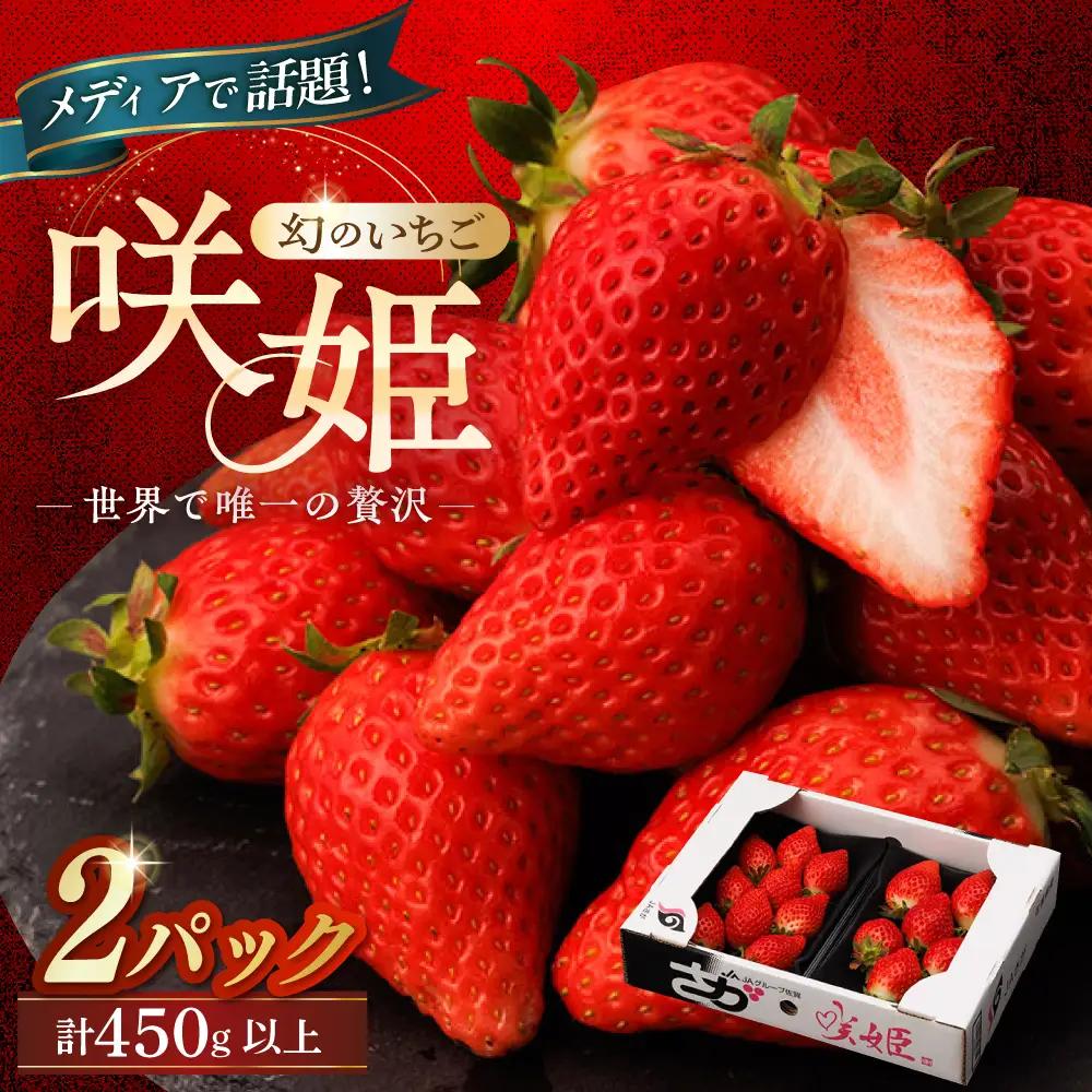 【先行予約 2027年1月～発送】いちご 『咲姫』2パック（計450g以上）いちご ICB001