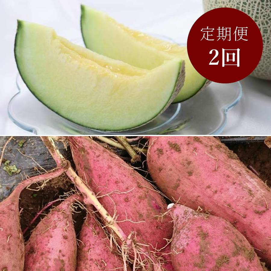 ＜山一ファーム＞旬の時期にお届け 茨城県産メロンとさつまいもの定期便