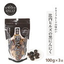 【ふるさと納税】比内ヒルズ熟成黒にんにく100g×3袋 【60P5708】 ニンニク 国産 スタミナ 野菜 黒ニンニク くろにんにく クロニンニク 和食 和 日本食 おつまみ おかず お取り寄せ グルメ 秋田県 大館市 送料無料 東北 でんろく