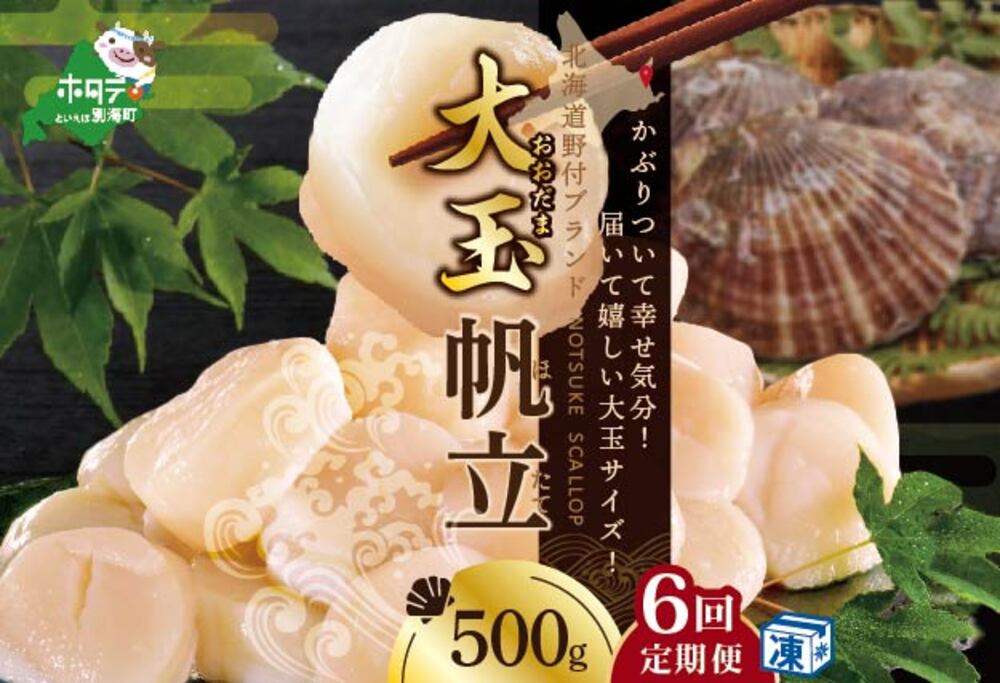 【毎月6ヶ月定期便】北海道 野付産  冷凍ホタテ貝柱 届いて嬉しい 大玉 ホタテ 500g 全 6回