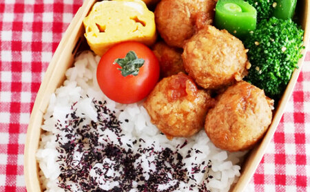 朝挽き 清流美どり お弁当セット 5種 11点 鶏肉 若鶏 お取り寄せ 岐阜市/若鶏の春近[ANDL003]