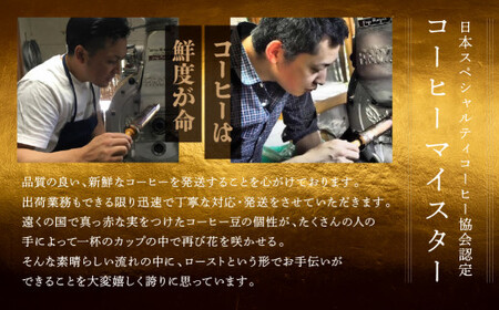 緑の館 / モカ・スペシャルブレンド豆 300g×2（600g）コーヒー コーヒー豆 珈琲 珈琲豆 グリーンハウスコーヒー 下呂市【17-92】