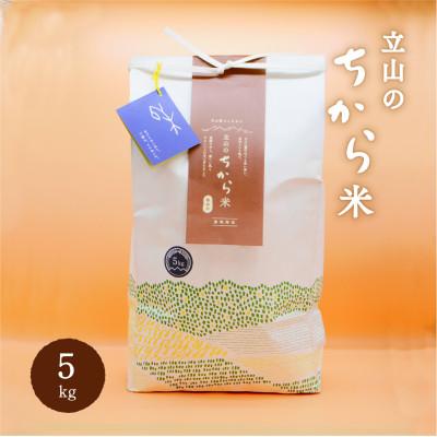 ふるさと納税 立山町 産地限定棚田米　立山のちから米　5kg