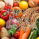 【ふるさと納税】津軽のお米 5kg＆季節の野菜詰合せ 【中泊町特産物直売所ピュア】旬の野菜 旬野菜 旬 新鮮 食品 グルメ 野菜 美味しい 甘い おいしい サラダ 精米 青森 F6N-039