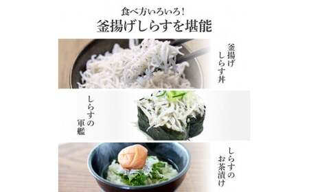 釜揚げしらす 500g × 2パック 高知県産 【しらす】