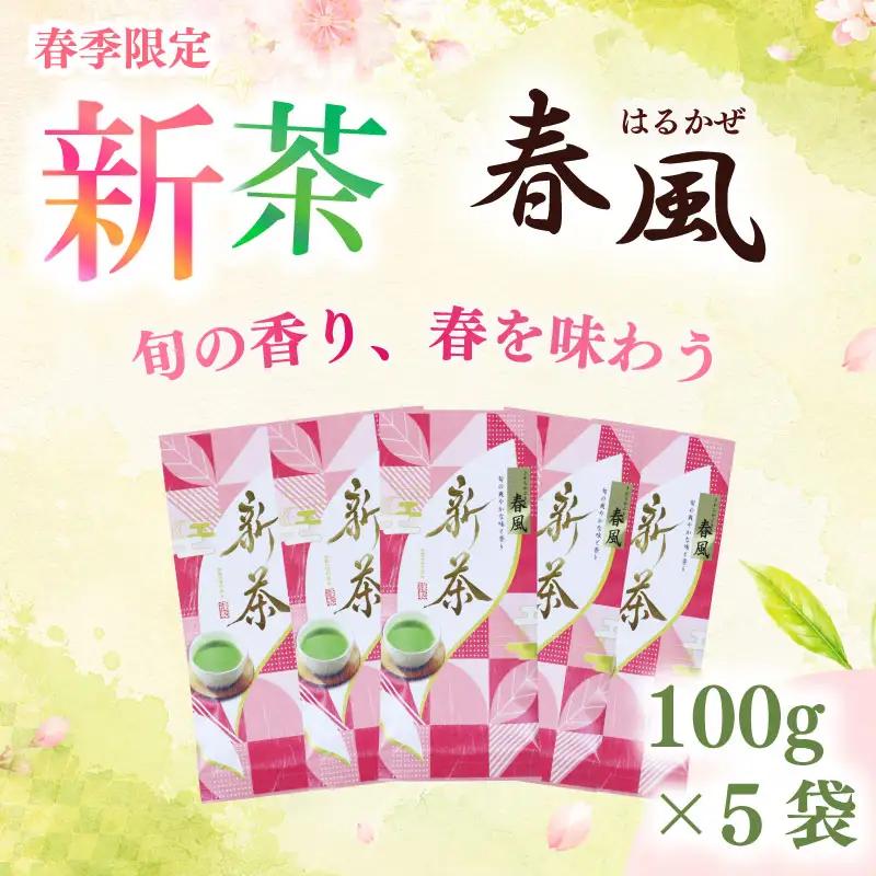 2026年度産 新茶 春風100g×5袋 静岡 県 牧之原市 相良物産